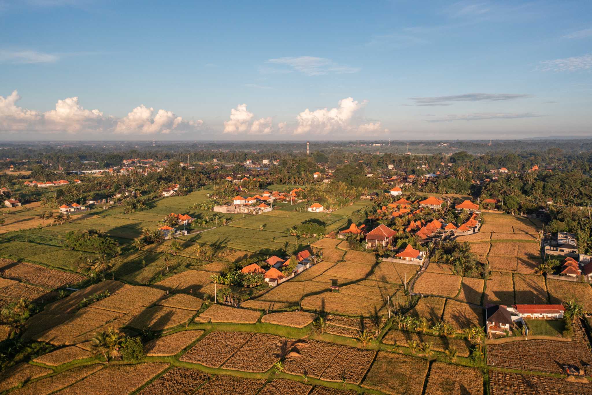 Ubud vue en drone
